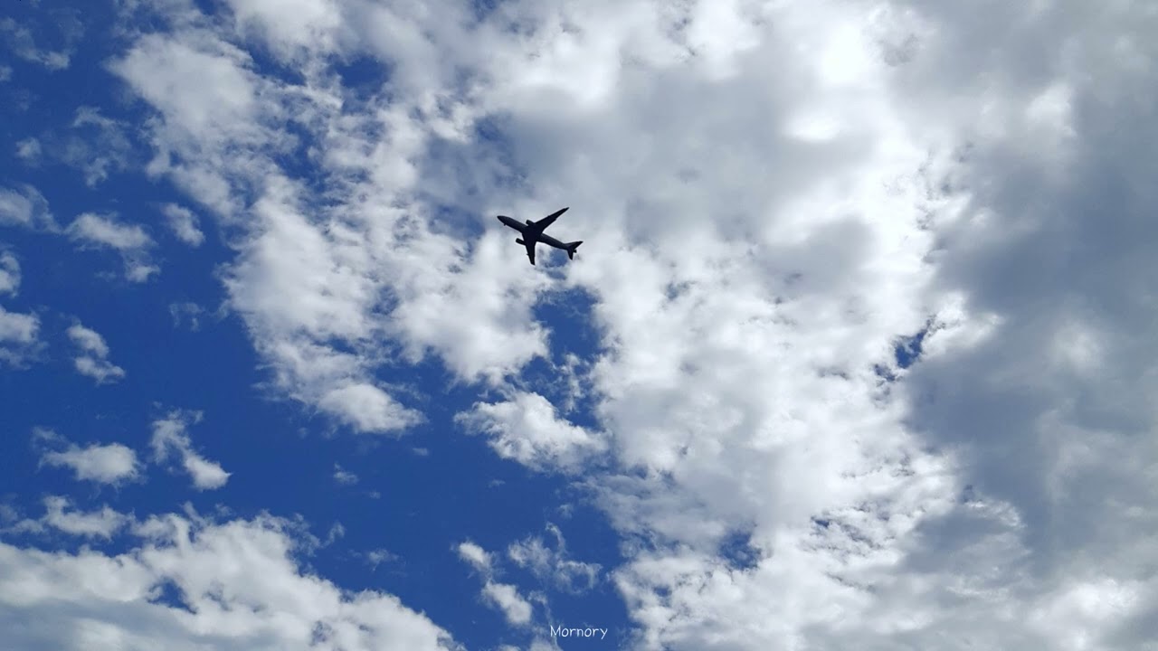 어디로든 갈 수 있는데, 가야 할 이유를 잃었다.