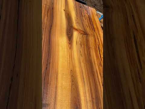 Sinker cypress