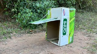 Easy Bird Trap Make By Paper Box