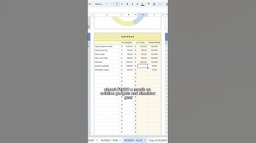 Comment “BUDGET” and I’ll send over the template for free💰✨