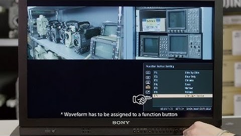Tech Tips: LMD Monitors Dual Waveform Episode 3