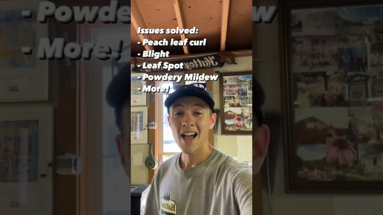 Try this organic method for disease control in the garden! 