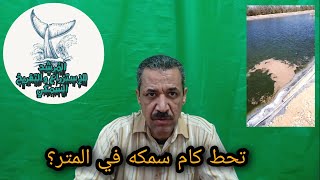 كثافة أسماك 200سمكه/متر | كلام بفلوس كتير