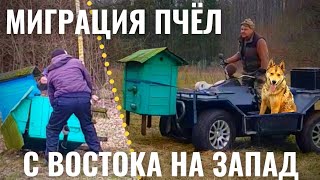 УЛЕЙ ПЕРЕВЕРНУЛИ,РАДИАТОР ПРОБИЛИ НО С ЗАДАЧЕЙ СПРАВИЛИСЬ