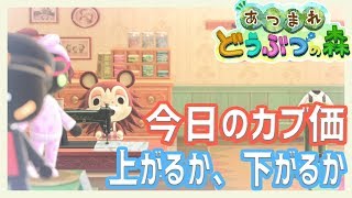 【あつまれどうぶつの森】新しい月の始まり【ベルモンド・バンデラス/にじさんじ】