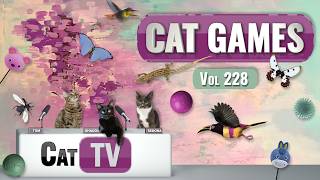 ألعاب القطط | مجموعة حلقات تلفزيونية للقطط، المجلد 228 | 8 ساعات 🐝🐞🦋🦎🦜🐜🐭🧵 screenshot 4