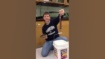 Using a spring scale to weigh a larger turtle