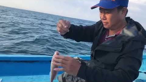 TOUR CÂU CÁ BIỂN PHAN THIẾT 1,2 & 3 NGÀY