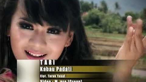 Tari-kabau padati[official music video]lagu minang terbaru