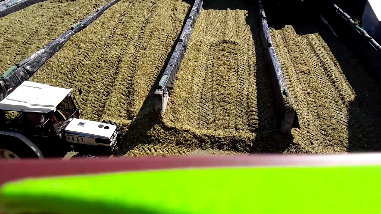 Corn silage/silaža koruze 08.2017 1/2 timelapse