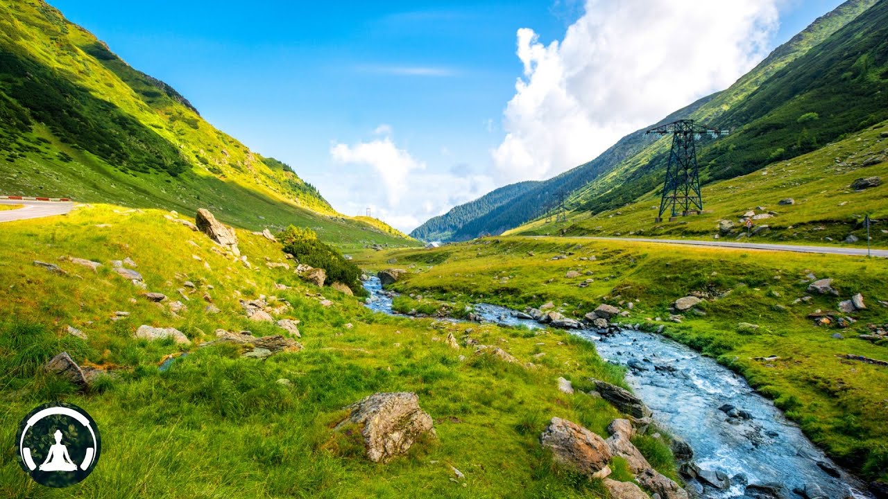 Nhạc Không Lời Thư Giãn, Giúp Tập Trung Và Ngủ Ngon – Năng Lượng Tích Cực Cho Ngày Mới