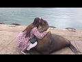МИЛЕЙШЕЕ ВИДЕО //  Девочка обнимает тюленя и садиться на него!!! Russian girl hugging a seal.