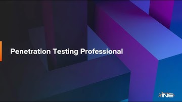 Penetration Testing Professional