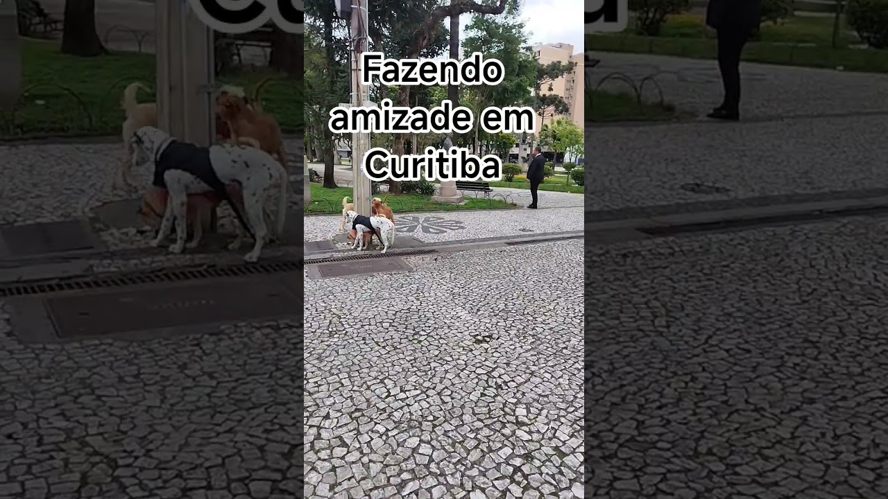 Amizades Curitibanas