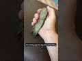 An ancient pecked and ground stone gouge tool