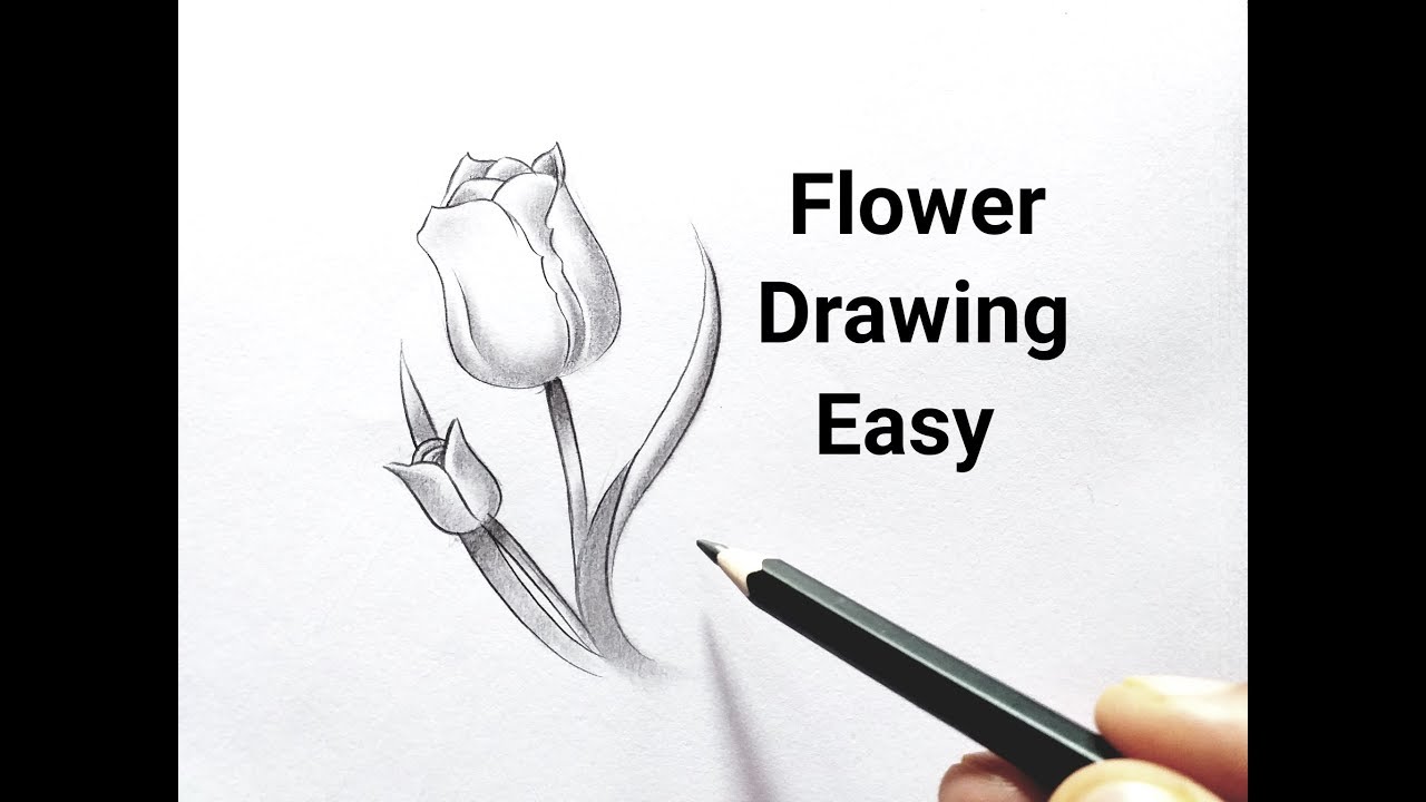 How to draw a flower/flowers Flower drawing easy with pencil step by ...