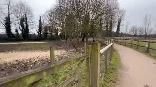 Tapir Enclosure - Now empty