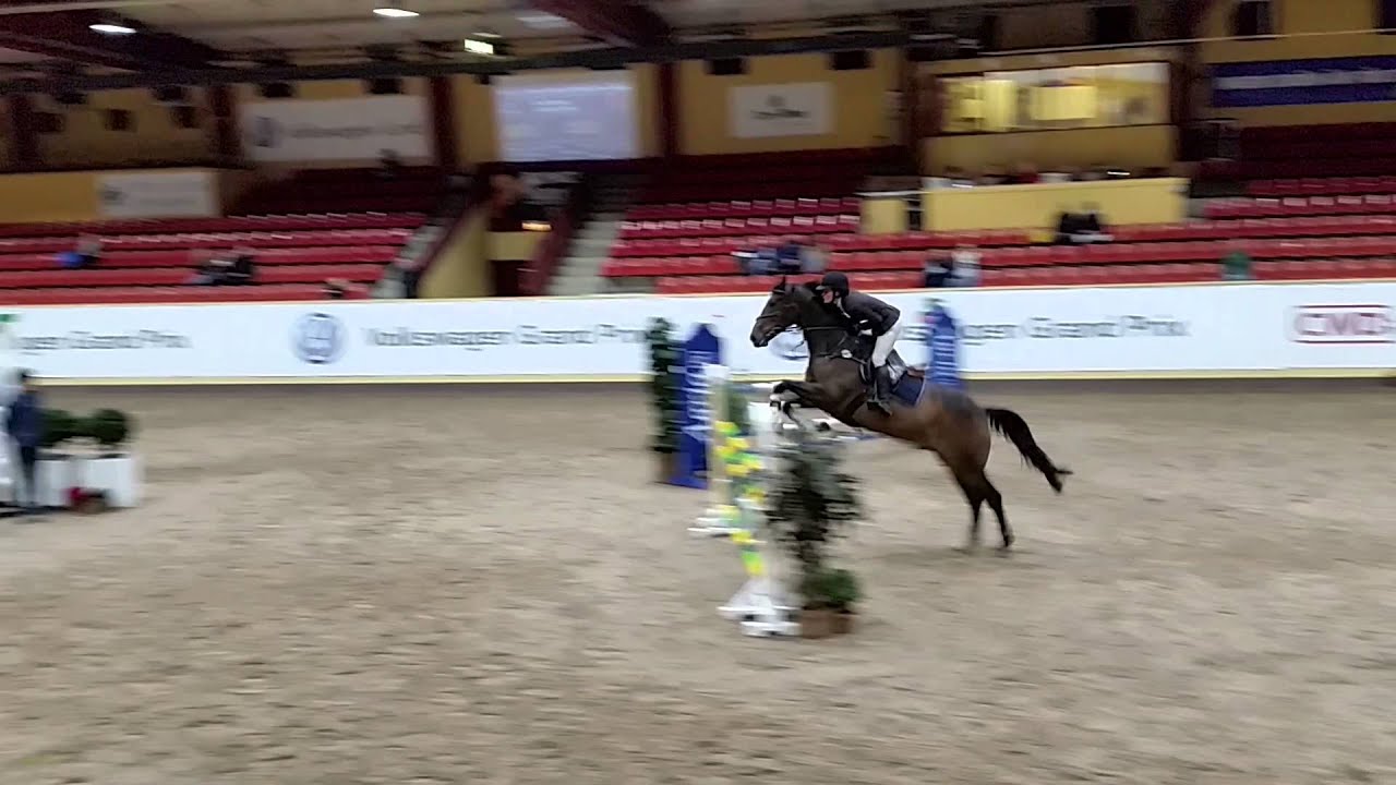 JAGGAN, Flyinge, Nov 2015