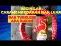 beginilah cara membedakan ban luar, tubeless atau bukan @mangudinbro