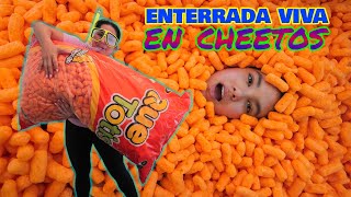 ENT3RRADAS VIVAS EN CHETOS! | AnaNANA TOYS