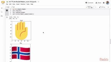 Hands-On Transfer Learning with TensorFlow 2.0: TensorFlow Lite Model Maker | packtpub.com