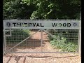 "Out of Thiepval Wood into History"