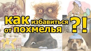 как избавиться от похмелья(Подписывайтесь на канал http://www.youtube.com/c/7faktovtvRu Народные и проверенные советы как избавиться от тяжелого похм..., 2016-01-13T04:59:09.000Z)