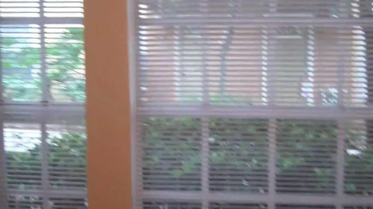 Mission Bay Apartments - Orlando - 1 Bedroom