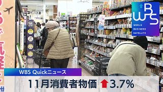 11月消費者物価 ↑3.7％【WBS】（2022年12月23日）