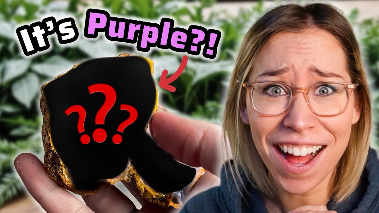 I Found a HUGE SURPRISE Cutting Open These Agates!