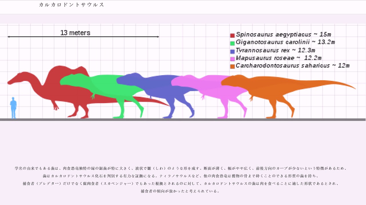 カルカロドントサウルス - YouTube