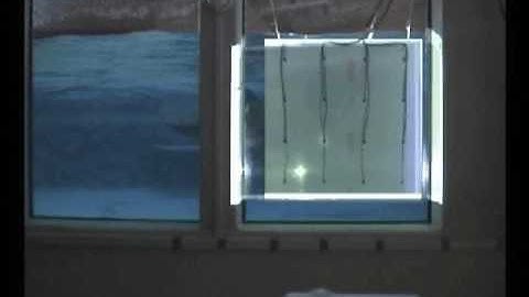 Visualizing the ultrasonic echolocation beam of dolphins