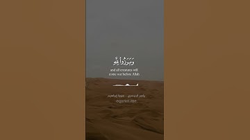 يوم تبدل الأرض غير الأرض والسماوات  || تلاوة خاشعة من سورة إبراهيم للشيخ ياسر الدوسري