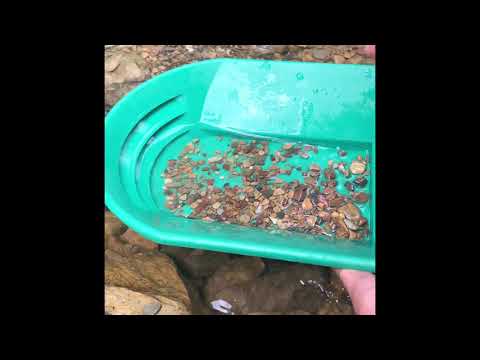 Gold Panning in