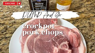Easy 3 Ingredients Dump And Go Crockpot Recipe Orange Porkchops