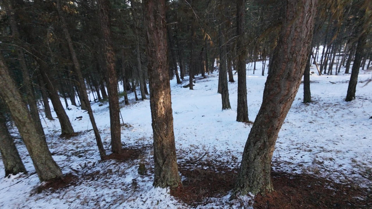 Flight Vlog #66 - Beautiful day for FPV flying (@ the cabin) - DJI NEO2