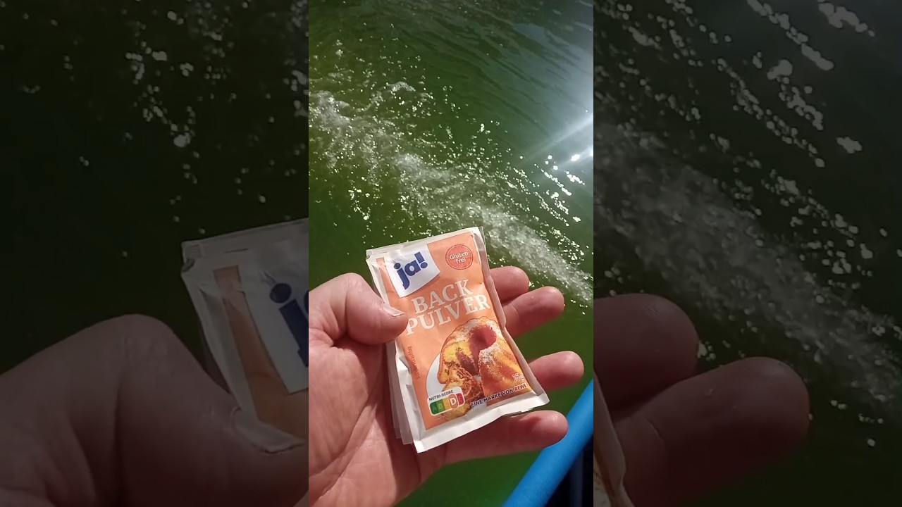 Das Grüne Pool-Wasser, mit Hausmitteln wieder in klares Wasser umwandeln.