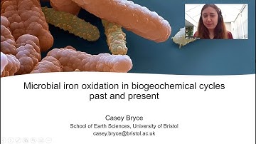 Microbial iron cycling in biogeochemical cycles past and present: Casey Bryce