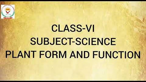 Plant form and function (Science) VI