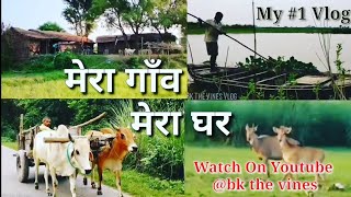 मेरा गाँव मेरा घर | My Village Vlog #1 | bk the vines