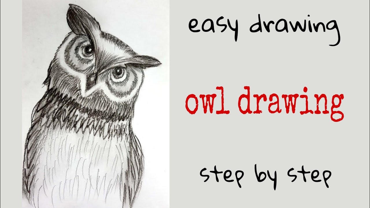 How to Draw an Owl | Easy Owl Drawing - YouTube