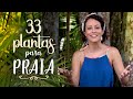 33 plantas pra lugar QUENTE e PRAIA