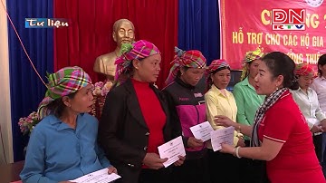 Phong trào: Tết vì người nghèo và chất độc da cam