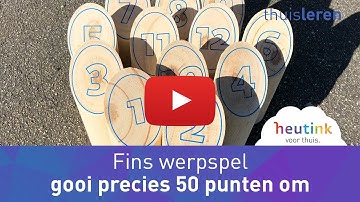 Fins werpspel - gooi en haal precies 50 punten - een mikspel van BS Toys