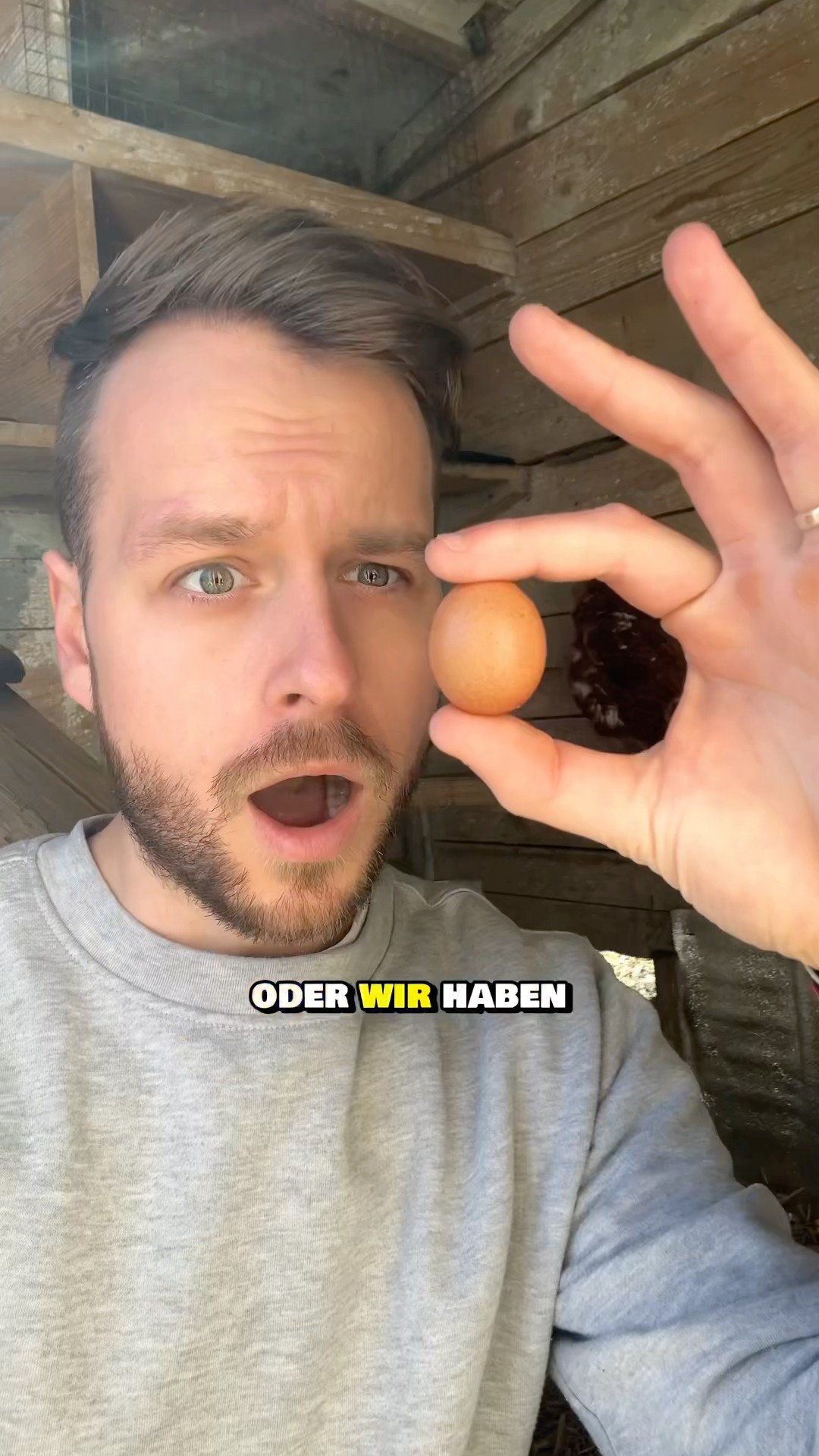 Das kleinste Ei Ever?🤯🥚#landwirtschaft #hühner #hühnerei #eier # ...