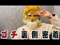 【ゴチ】の裏側密着
