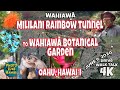 Mililani Rainbow Tunnel to Wahiawa Botanical Garden June 9, 2020 Fun Things to do on Oahu Hawaii