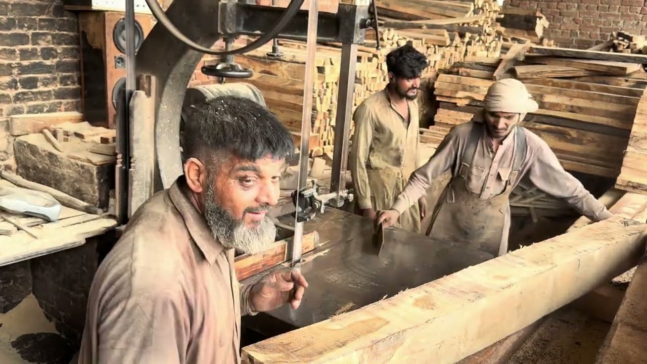 Giant Wood Saw Machine Faces off Against Thousand Year Old Tree: The Power of Machines & Humans