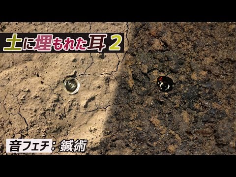No Talking ・音フェチ・土に埋もれた耳２～鍼術～　クロマキー the sound of the ears on the floor(chroma-key test video)