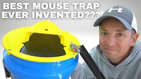 Impressive Mouse Trap! - Genius Design! - Review | link in Description👇